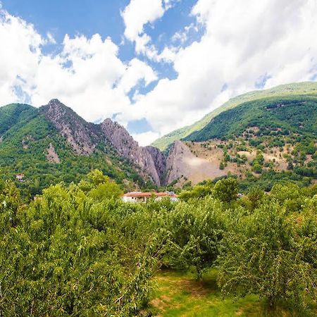 Irenes Resort Káto Loutrákion Exterior foto